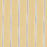 Yellow Stripe