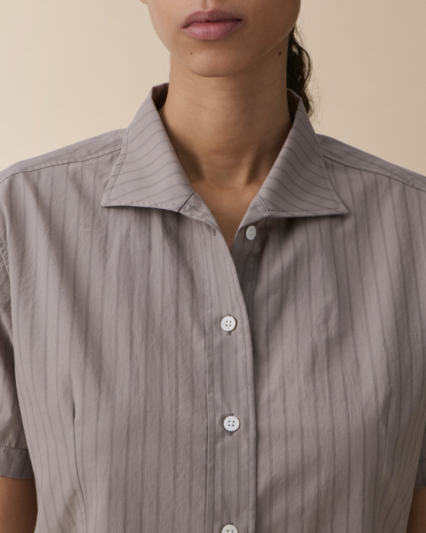 Siri Greige Stripe
